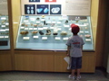 自然史標本館：鉱物標本の前で