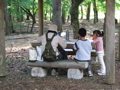 水道記念館の木立で昼食